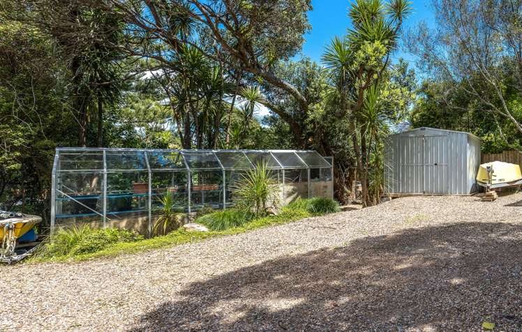 6 Taraire Street Ostend_24