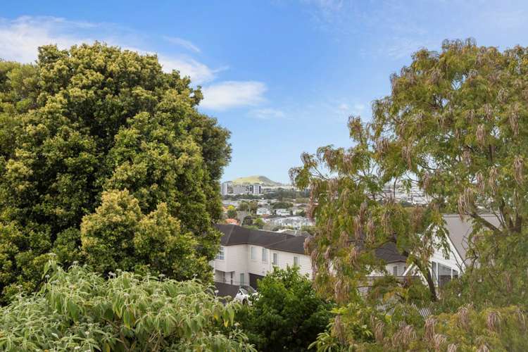 19a Ngatiawa Street One Tree Hill_5