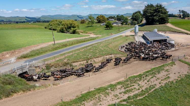 227 Whenuahou Road Norsewood_16