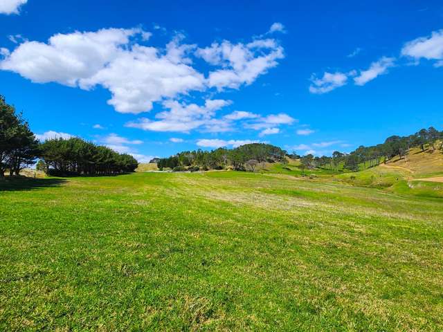 Babylon Coast Road Dargaville_3