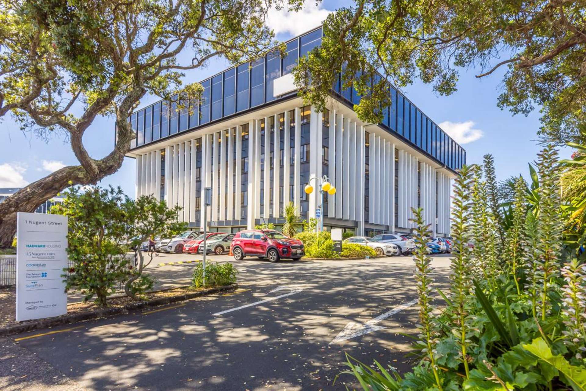 1 Nugent Street Grafton_0