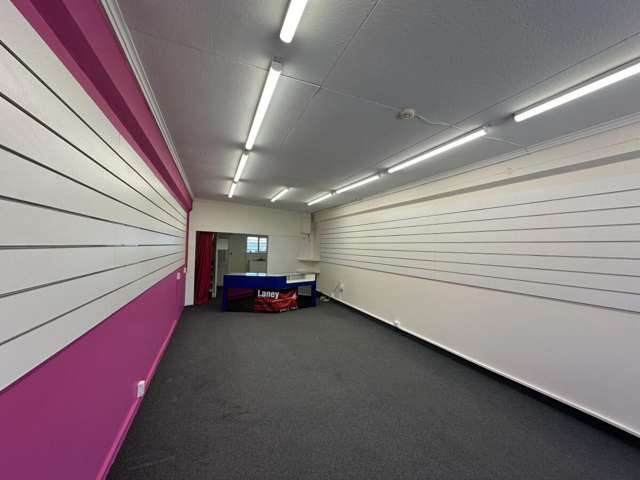 3 Amohia Street Paraparaumu_1