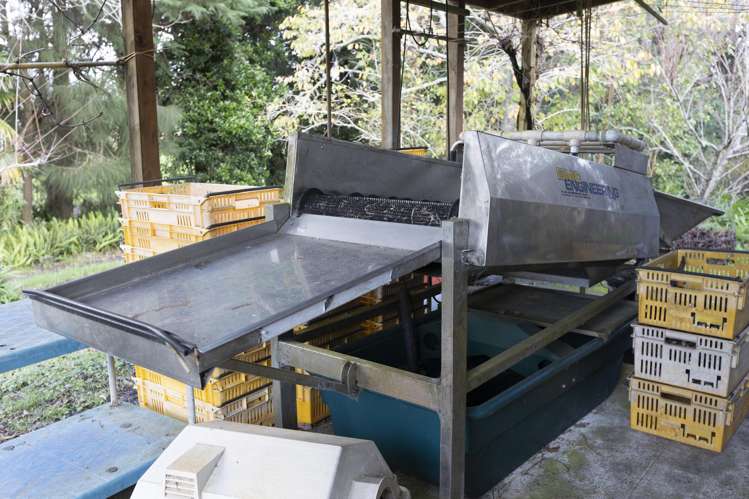 6934 State highway 1 Kaitaia Surrounds_25