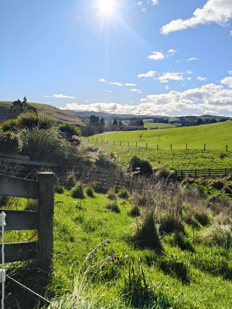 24c Thurso Street Lawrence_13