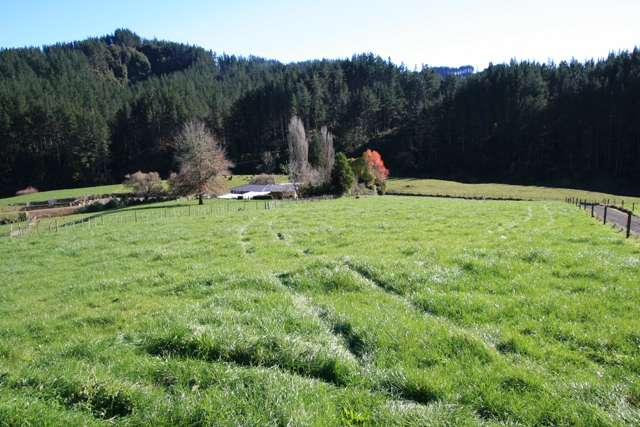 698 Mangaoapa Road Pohokura and Surrounds_1