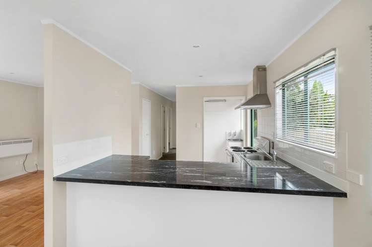 39a Mead Street Avondale_5