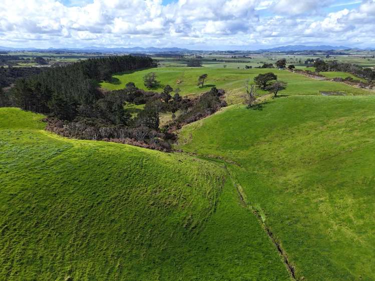 26 Mahuta Road Dargaville_11