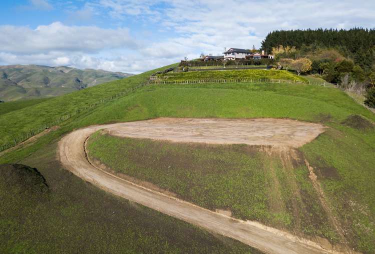 133 Enfield Drive Pakipaki_3