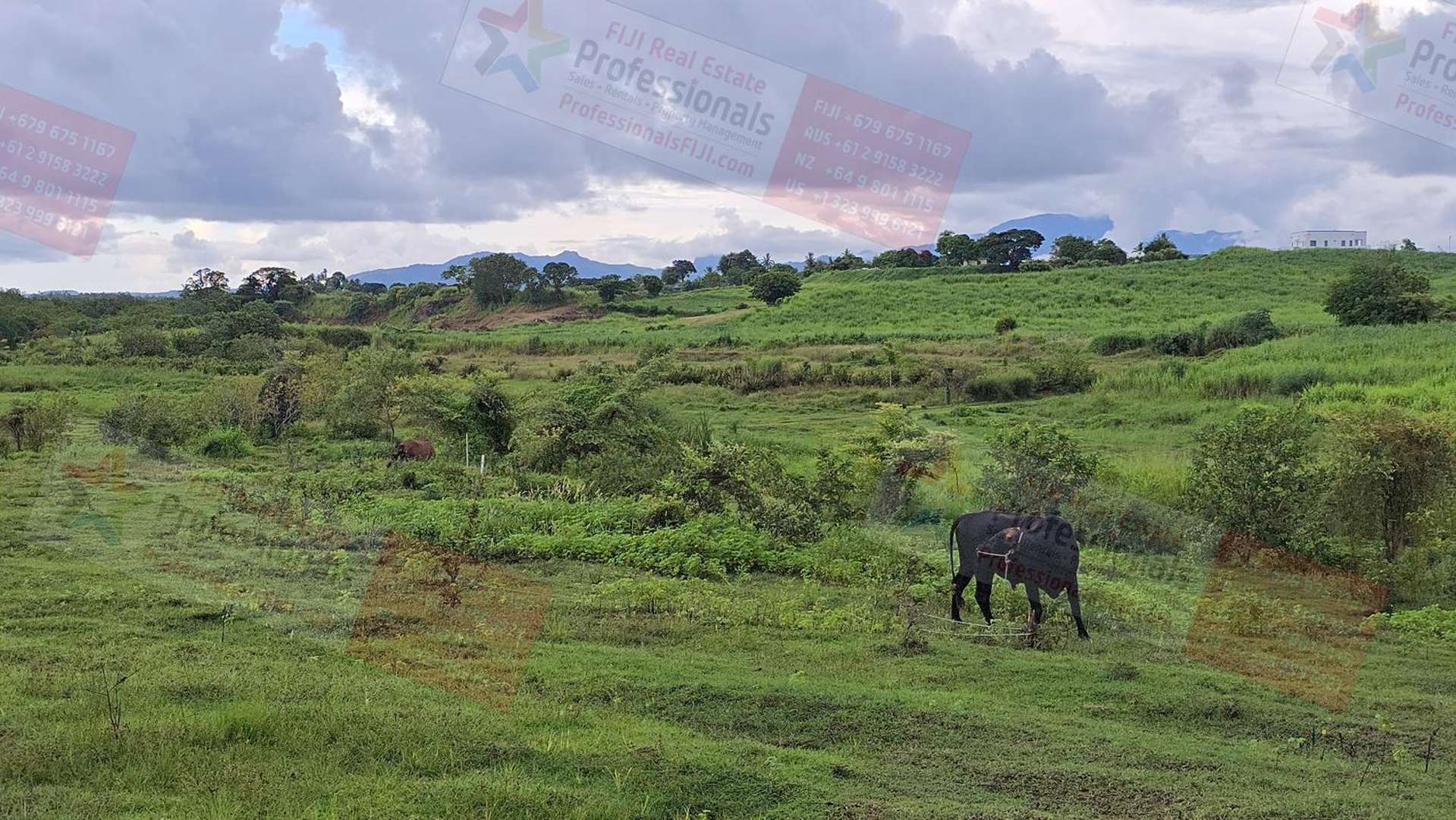 Address withheld Sonaisali_0