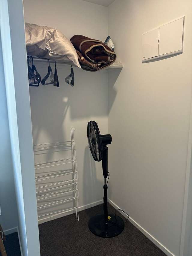 87 Fifth Avenue Enderley_1