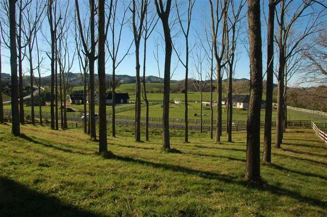 102e Maungakawa Road Cambridge_4