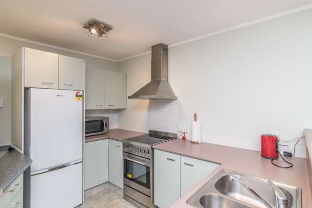 1b Arawa Road Hataitai_3