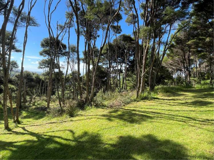 397 Wishart Road Helensville_33
