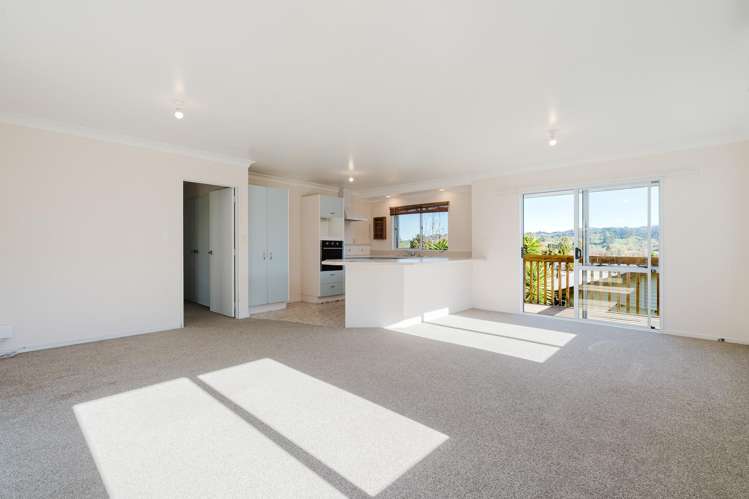 38a Kakamutu Road_5