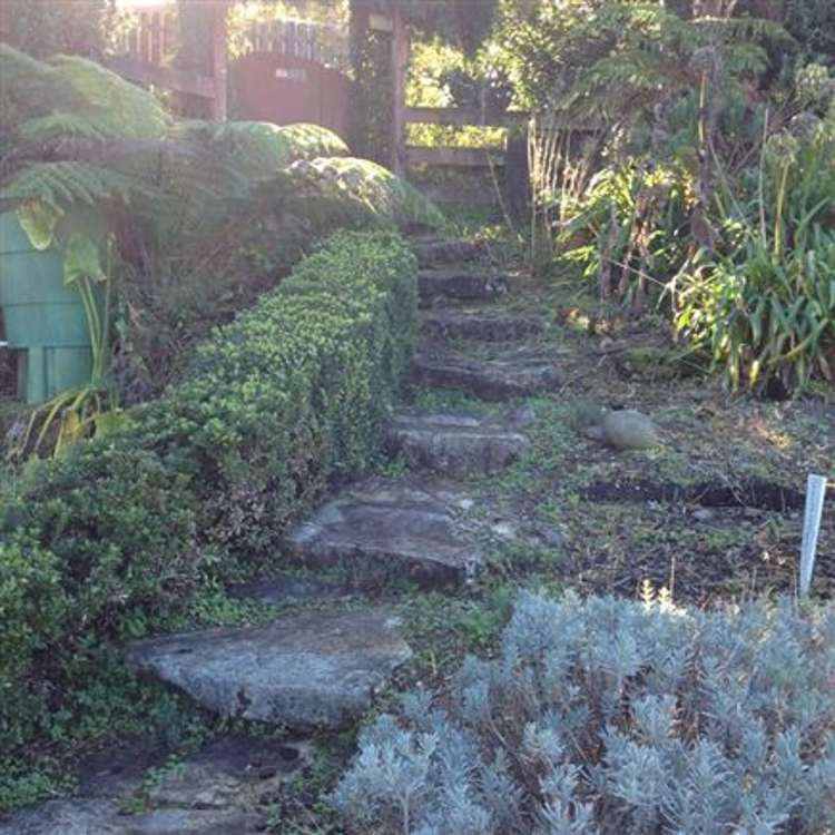 48 King Street West Te Kuiti_22