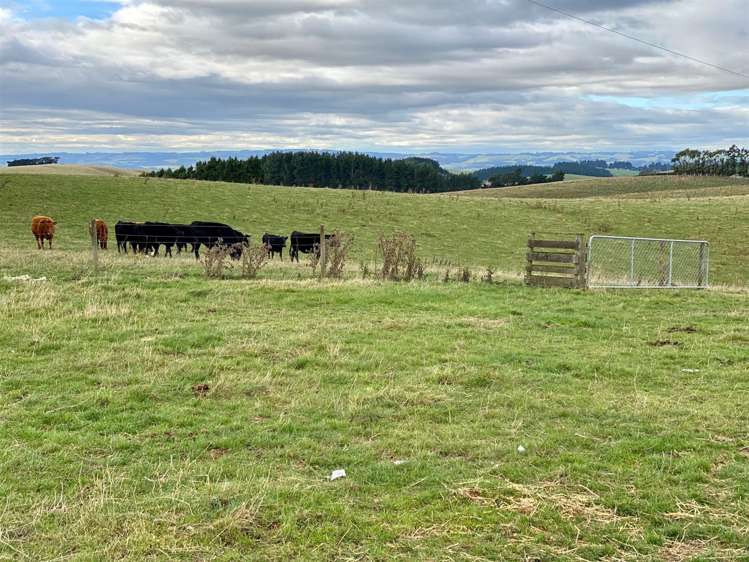 86 Totara Island Road Clinton and Surrounds_24