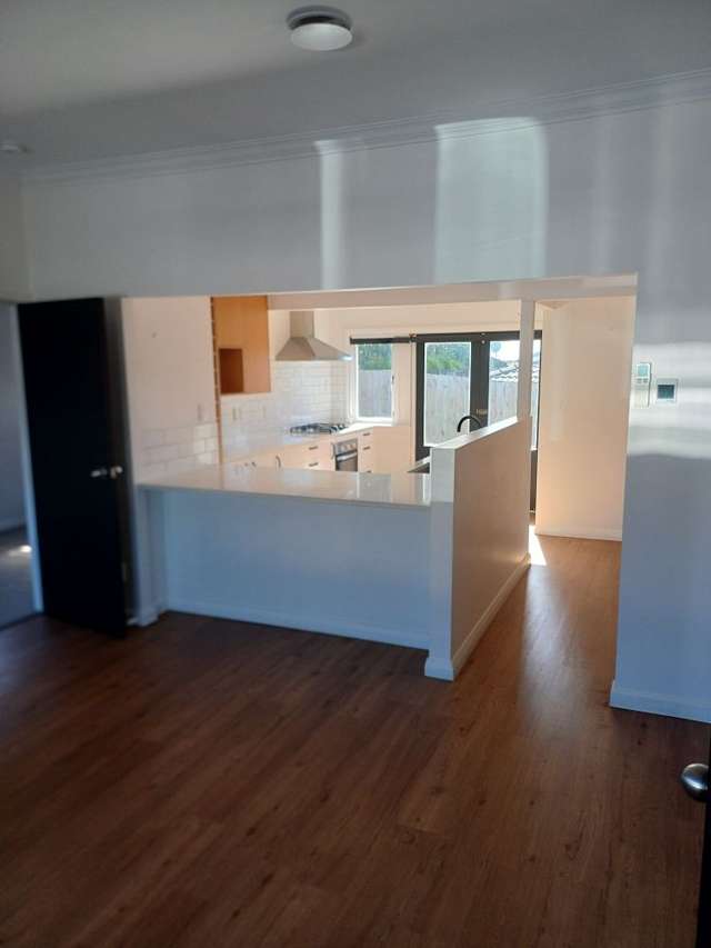 35A Hall Street Pukekohe_2