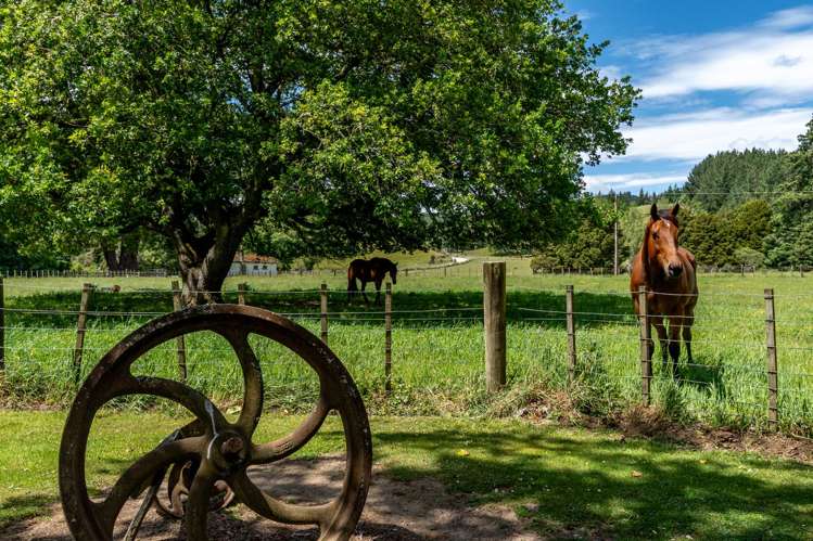 336 Puketiritiri Road_5