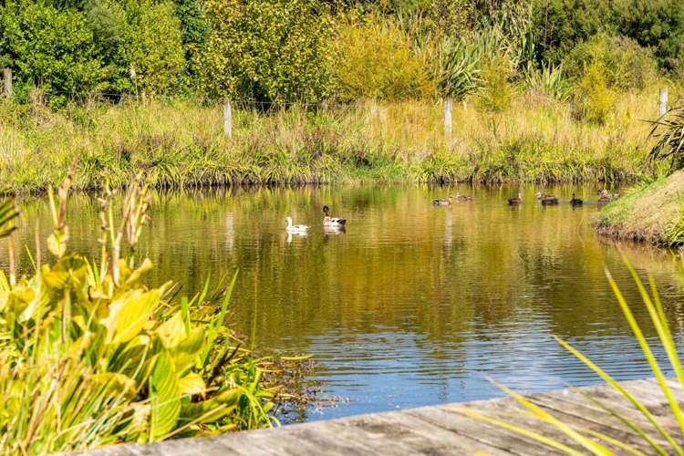 23 Birdsong Lane Mangawhai_8