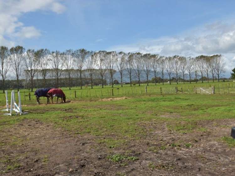 994 No 1 Road Springdale_2