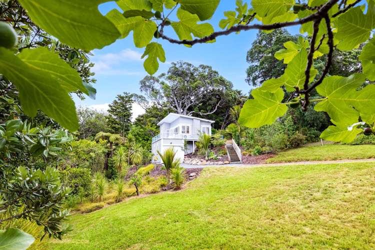 25 Matheson Bay Road Leigh_19