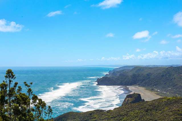23 Log Race Road Piha_2