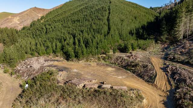 Motueka Valley Highway - Rabbit Gully Motueka Valley_3