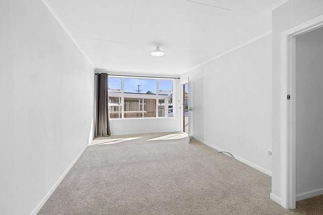 290d Carrington Street Vogeltown_3