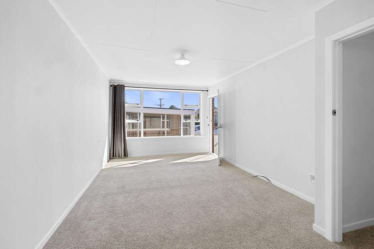 290d Carrington Street Vogeltown_3