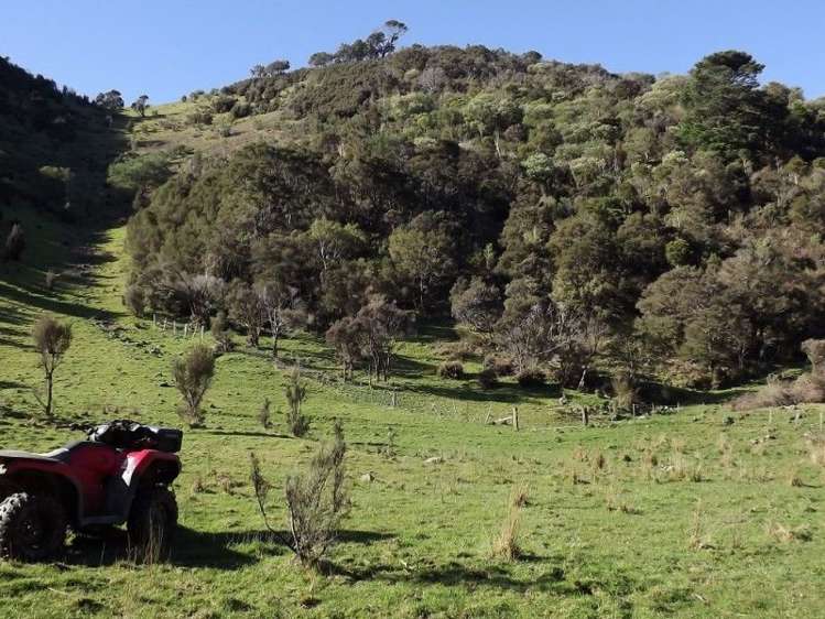 704 Mangatarere Valley Road Carterton_15