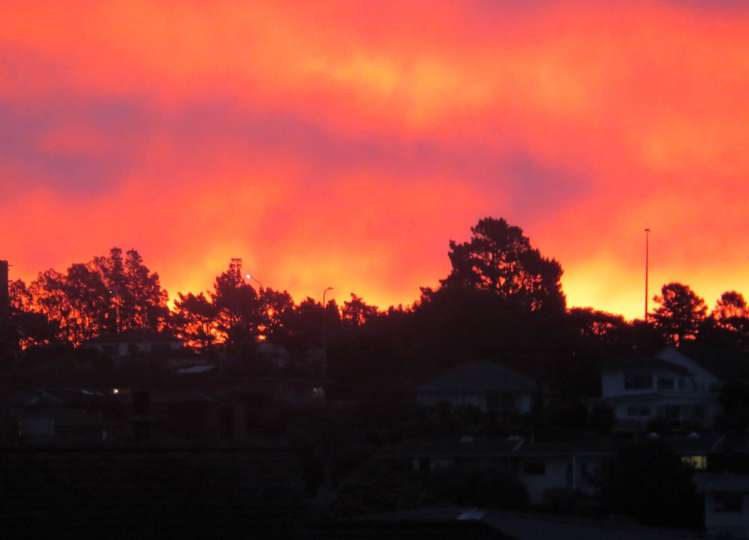 1/11 Kowhai Road Mairangi Bay_30