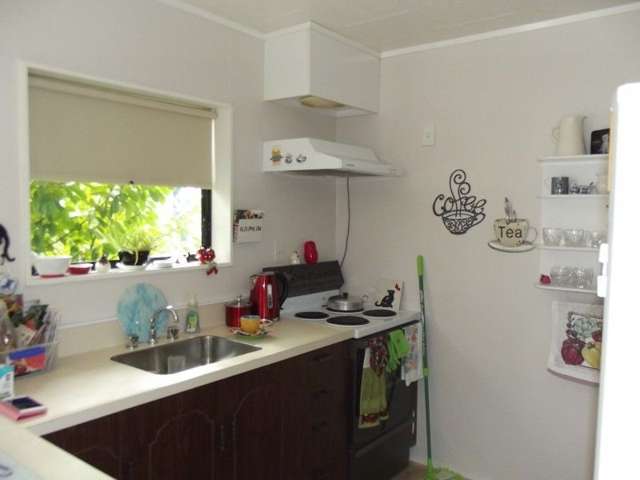 22a Alpers Terrace Marewa_2