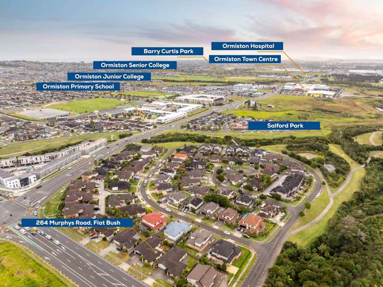 264 Murphys Road Flat Bush_21