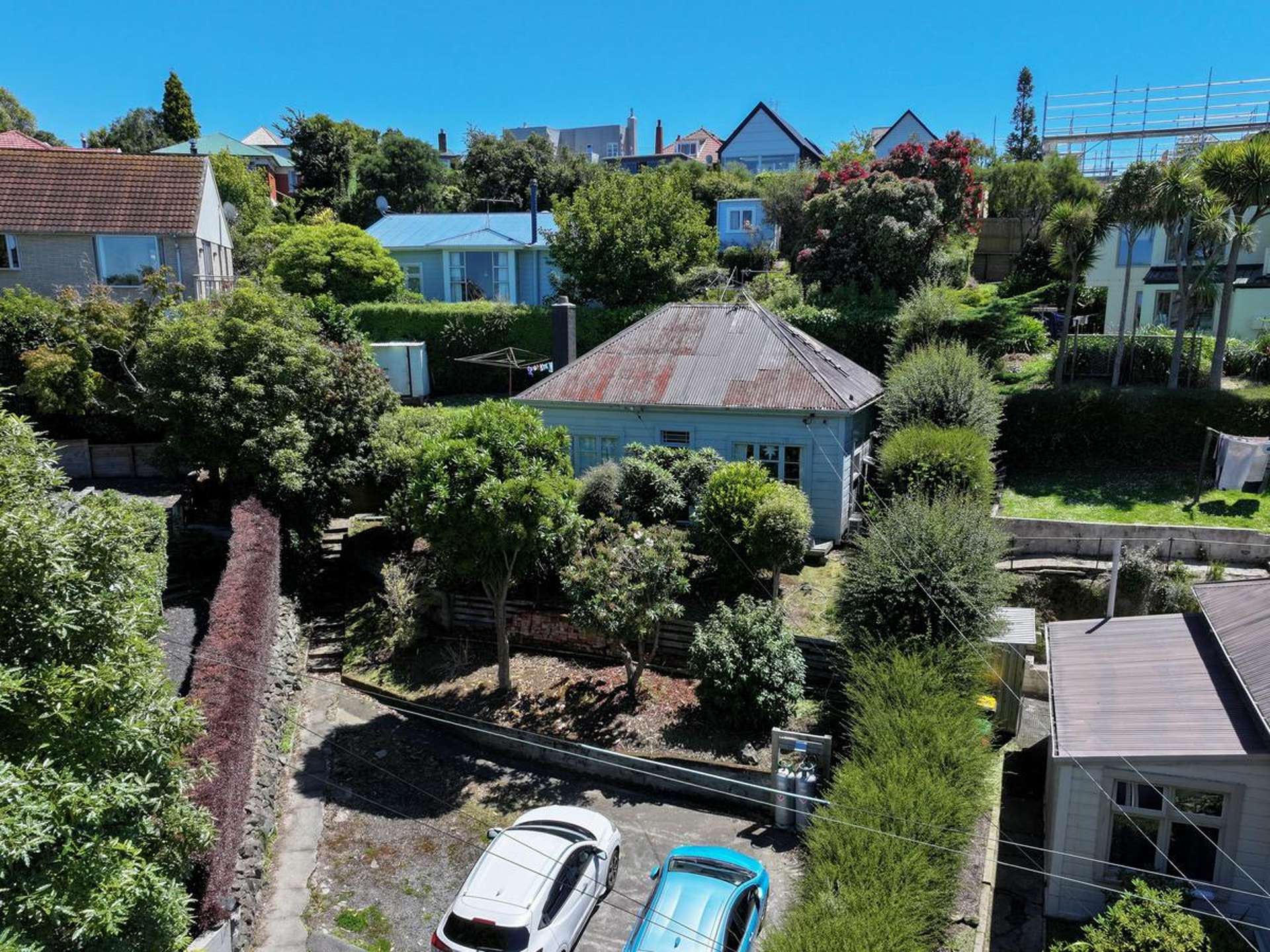 9 Henry Street Maori Hill_0