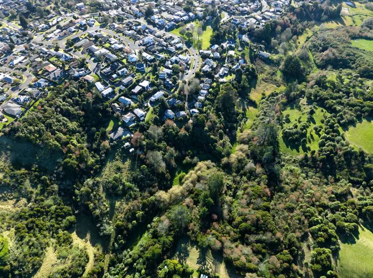 57 Snowden Street Ohauiti_13