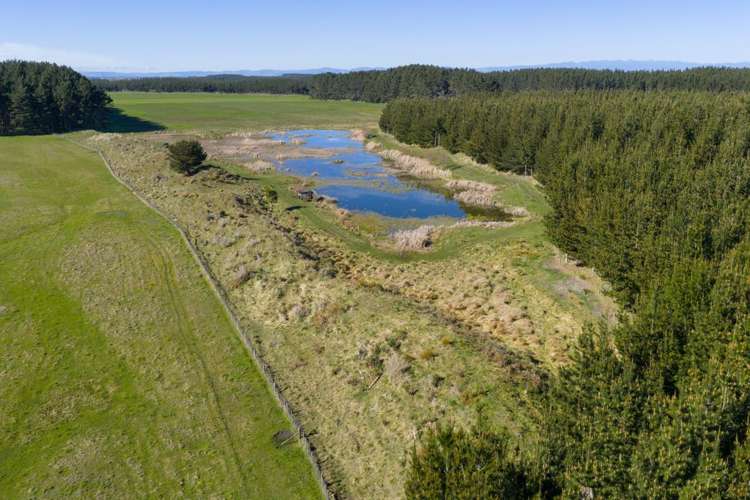 725 Raumai Road Bulls_23