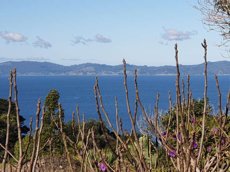 15 Puriri Place, Tuateawa_42