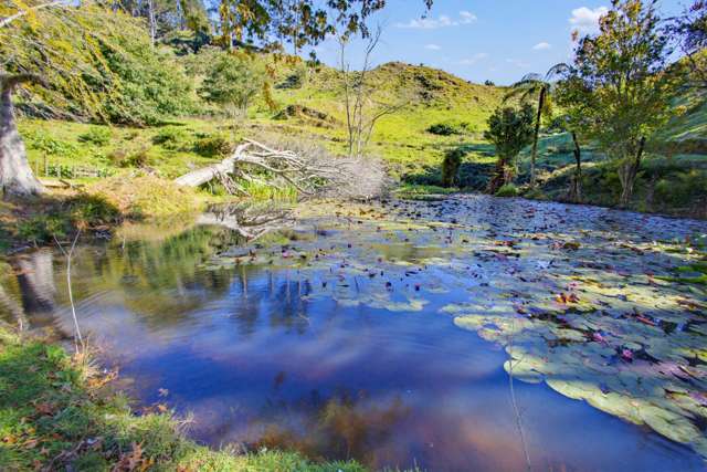 822 Motukawa Rd Inglewood_4