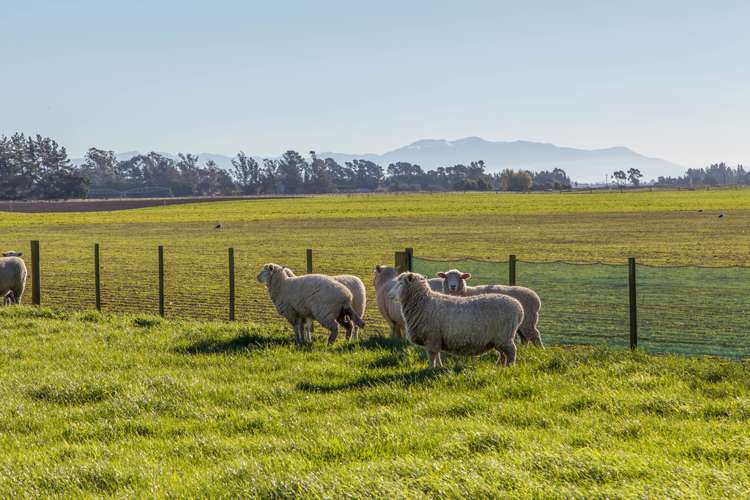 238 Wabys Road Southbridge_17