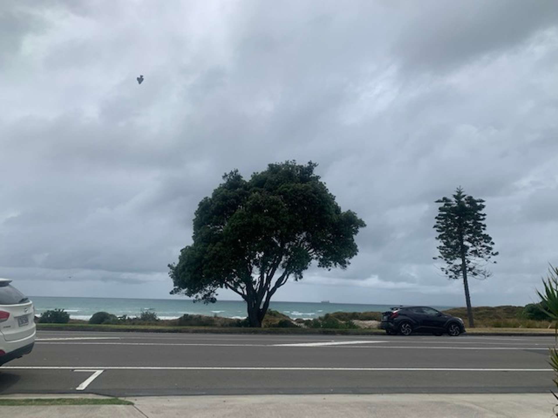 2/171 Marine Parade Mount Maunganui_0