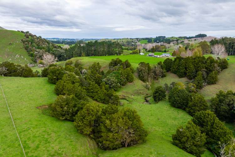 Omana Road Tangiteroria_15