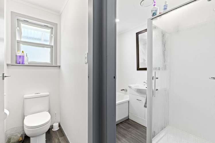 11 Flower Street Bulls_9