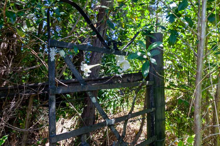 15 Onekaka Iron Works Road Kahurangi National Park_5