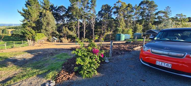 229 Sandford Road 2014_10