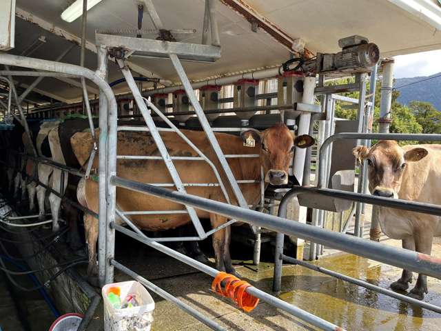 694-778 Waitaha Road Kakapotahi_3