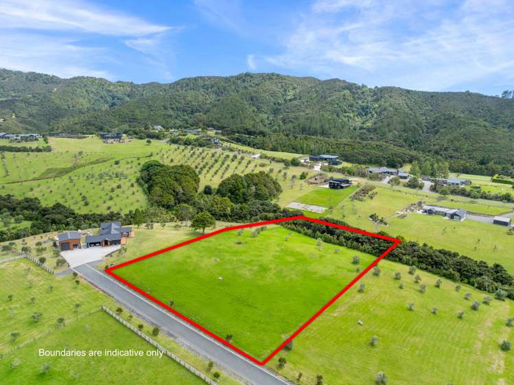 Lot 86 Olea Lane Mangawhai_3