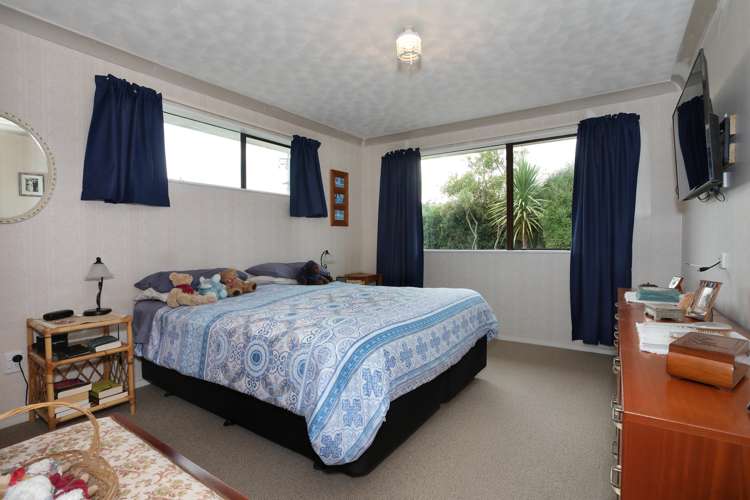 12 Hammond Street Bulls_6