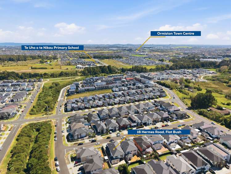 16 Hermes Road Flat Bush_38