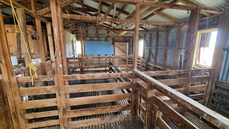 217 Underwood Road Wellsford_10