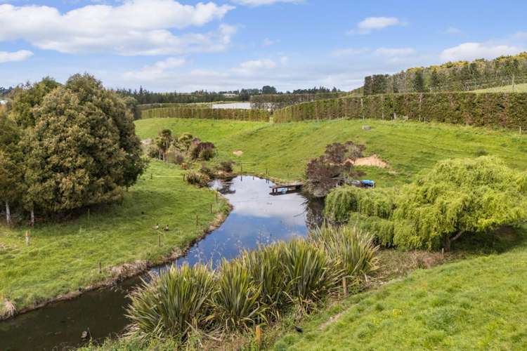 22B Noron Place Katikati_3
